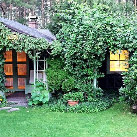Domek Letniskowy Na Kaszubach Lub Apartament Z Kominkiem Puck Ngoại thất bức ảnh