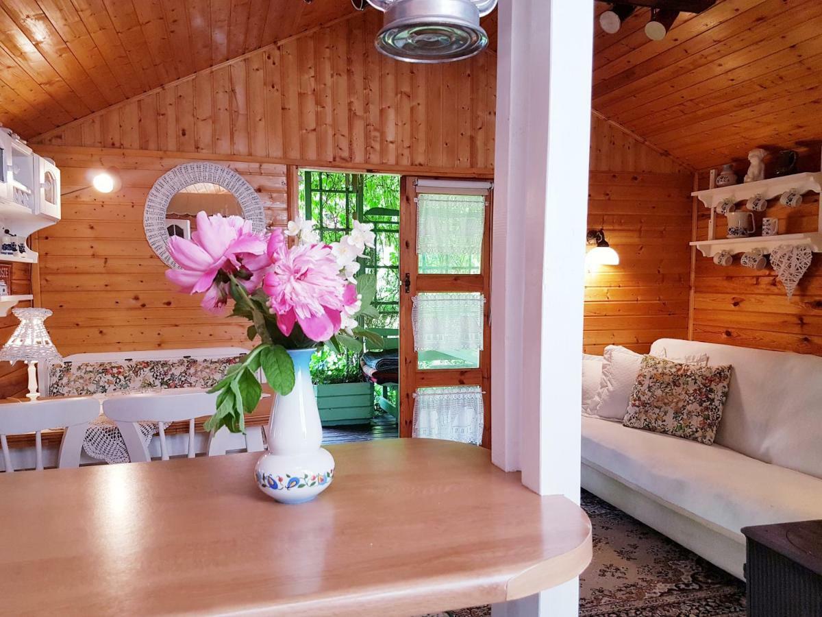 Domek Letniskowy Na Kaszubach Lub Apartament Z Kominkiem Puck Ngoại thất bức ảnh